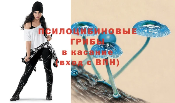 круглые Карпинск