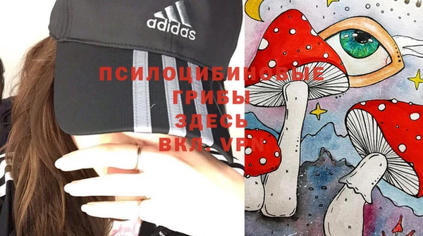 гашик Бородино