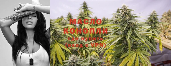 гашик Бородино