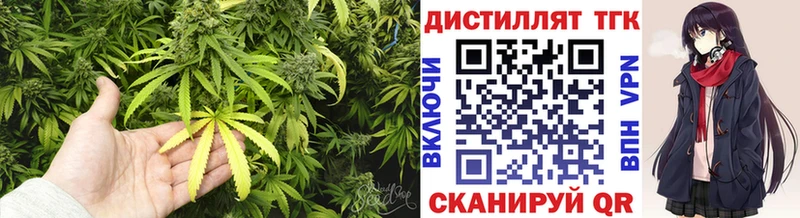 ТГК концентрат  Кизилюрт 