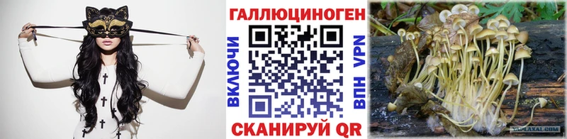 где продают   Кизилюрт  Галлюциногенные грибы MAGIC MUSHROOMS 